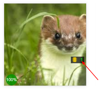 stoat chip.png